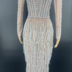 Silver Rhinestone Fringe Transparent Dress For Birthday Prom Party