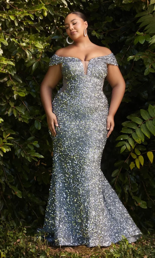 Best Silver Prom Dresses for Plus Size